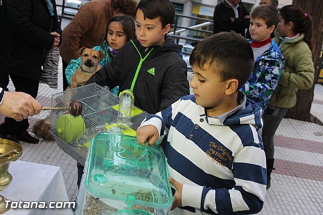 Los animales recibieron la bendicin en el da de su patrn, San Antn Abad - 2014 - 199