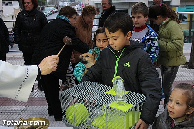 Los animales recibieron la bendicin en el da de su patrn, San Antn Abad - 2014 - 200