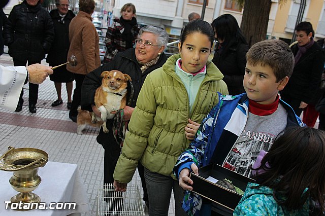 Los animales recibieron la bendicin en el da de su patrn, San Antn Abad - 2014 - 201