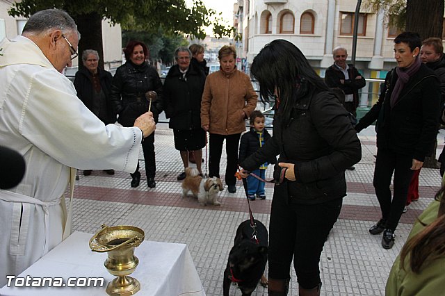 Los animales recibieron la bendicin en el da de su patrn, San Antn Abad - 2014 - 202