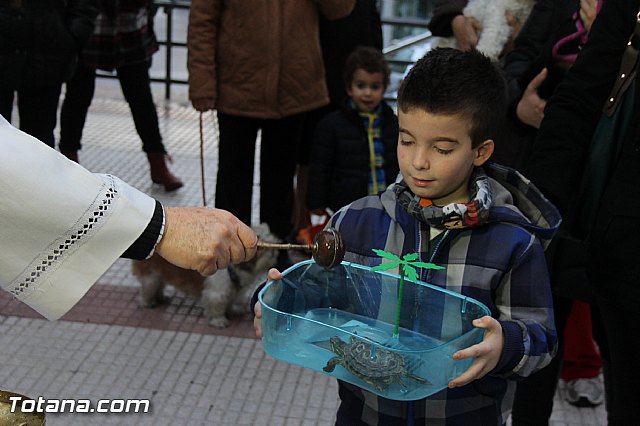 Los animales recibieron la bendicin en el da de su patrn, San Antn Abad - 2014 - 203