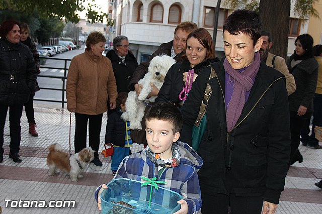 Los animales recibieron la bendicin en el da de su patrn, San Antn Abad - 2014 - 204