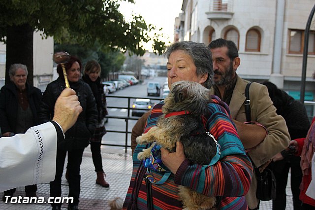 Los animales recibieron la bendicin en el da de su patrn, San Antn Abad - 2014 - 207