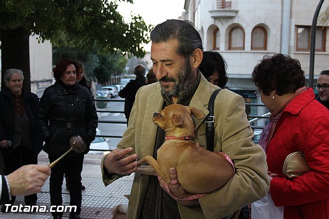 Los animales recibieron la bendicin en el da de su patrn, San Antn Abad - 2014 - 208