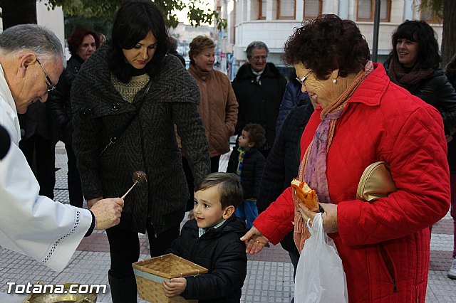 Los animales recibieron la bendicin en el da de su patrn, San Antn Abad - 2014 - 209