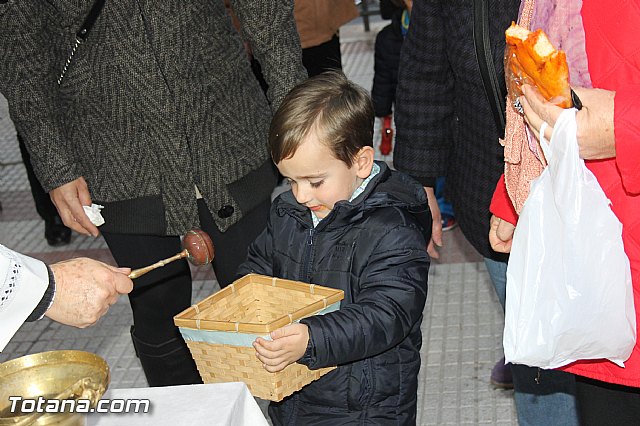 Los animales recibieron la bendicin en el da de su patrn, San Antn Abad - 2014 - 210