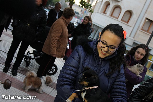 Los animales recibieron la bendicin en el da de su patrn, San Antn Abad - 2014 - 211