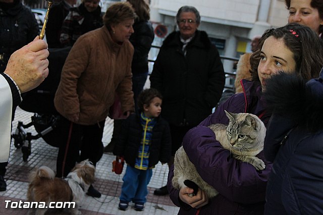 Los animales recibieron la bendicin en el da de su patrn, San Antn Abad - 2014 - 212