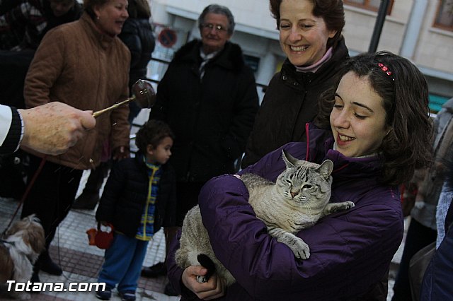 Los animales recibieron la bendicin en el da de su patrn, San Antn Abad - 2014 - 213