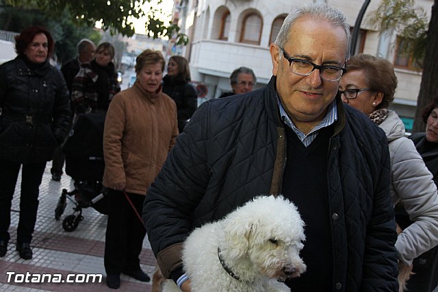 Los animales recibieron la bendicin en el da de su patrn, San Antn Abad - 2014 - 217