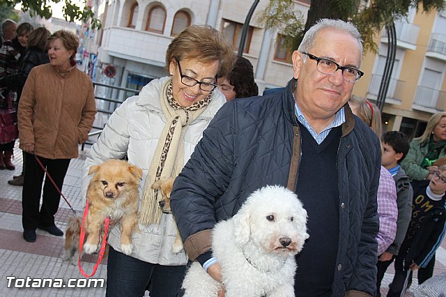 Los animales recibieron la bendicin en el da de su patrn, San Antn Abad - 2014 - 221