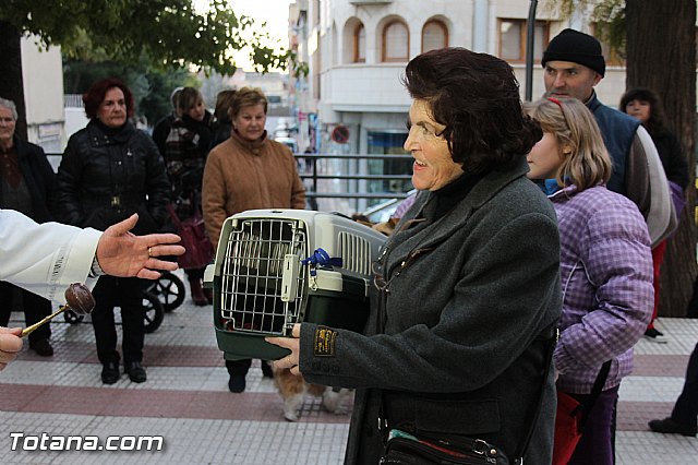 Los animales recibieron la bendicin en el da de su patrn, San Antn Abad - 2014 - 222