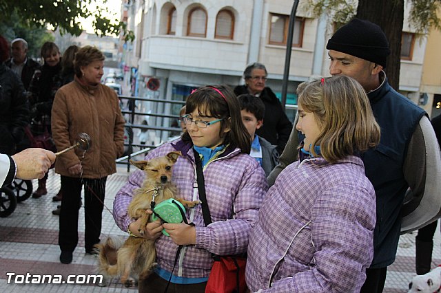 Los animales recibieron la bendicin en el da de su patrn, San Antn Abad - 2014 - 223