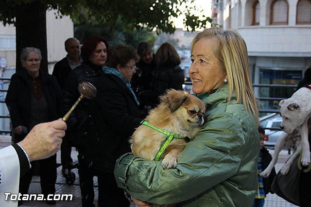 Los animales recibieron la bendicin en el da de su patrn, San Antn Abad - 2014 - 227