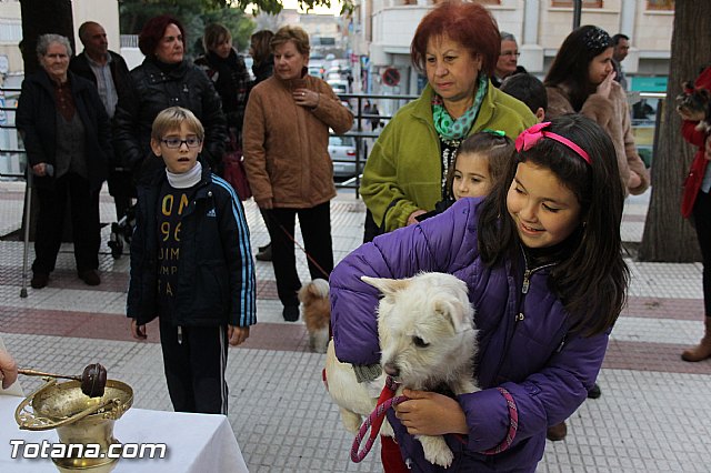 Los animales recibieron la bendicin en el da de su patrn, San Antn Abad - 2014 - 229