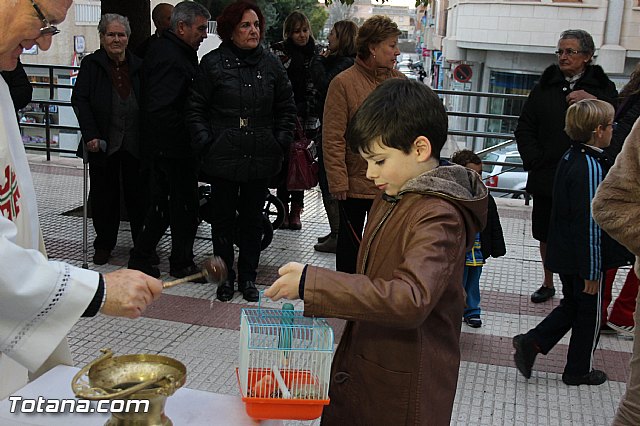 Los animales recibieron la bendicin en el da de su patrn, San Antn Abad - 2014 - 231