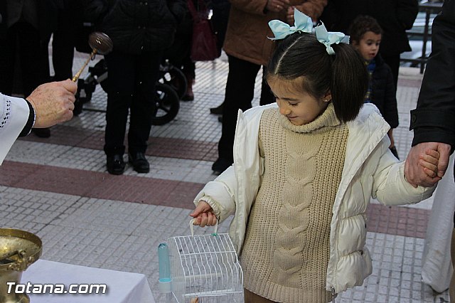 Los animales recibieron la bendicin en el da de su patrn, San Antn Abad - 2014 - 236