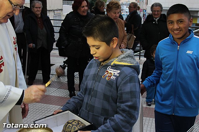 Los animales recibieron la bendicin en el da de su patrn, San Antn Abad - 2014 - 237
