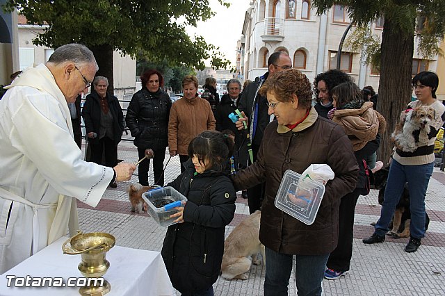 Los animales recibieron la bendicin en el da de su patrn, San Antn Abad - 2014 - 240