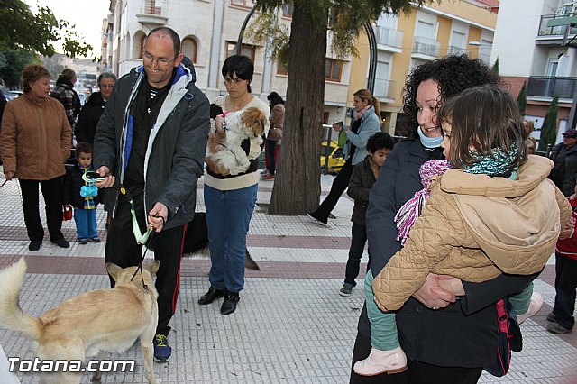 Los animales recibieron la bendicin en el da de su patrn, San Antn Abad - 2014 - 241