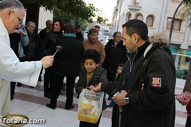 Los animales recibieron la bendicin en el da de su patrn, San Antn Abad - 2014 - 244