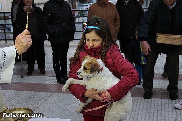 Los animales recibieron la bendicin en el da de su patrn, San Antn Abad - 2014 - 248