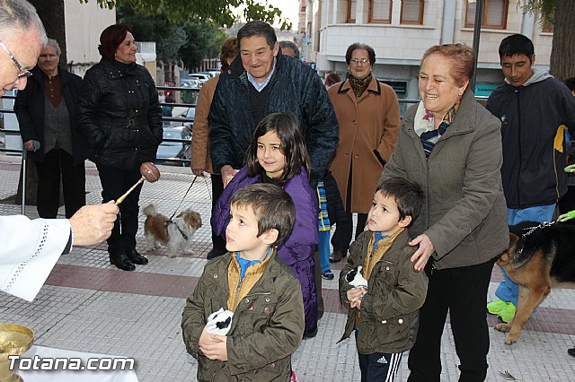 Los animales recibieron la bendicin en el da de su patrn, San Antn Abad - 2014 - 249