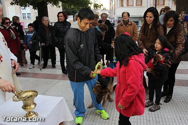 Los animales recibieron la bendicin en el da de su patrn, San Antn Abad - 2014 - 251