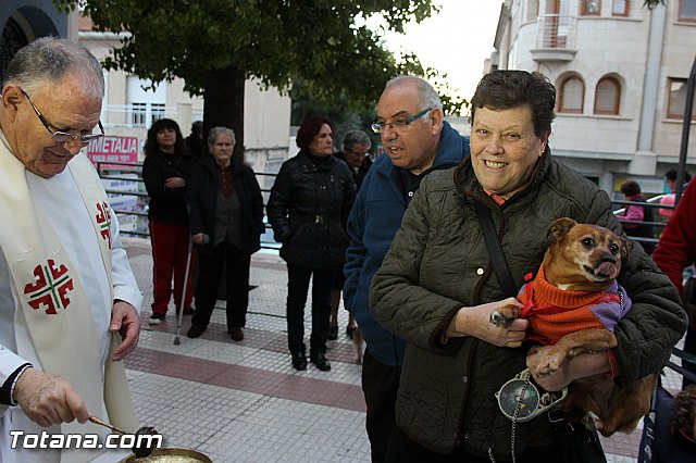 Los animales recibieron la bendicin en el da de su patrn, San Antn Abad - 2014 - 254