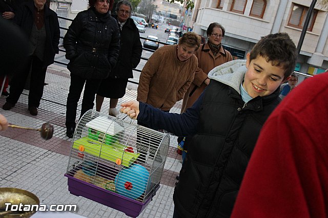Los animales recibieron la bendicin en el da de su patrn, San Antn Abad - 2014 - 256