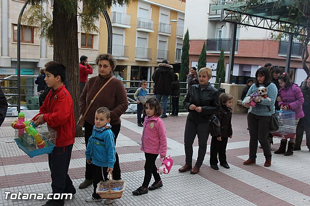 Los animales recibieron la bendicin en el da de su patrn, San Antn Abad - 2014 - 258
