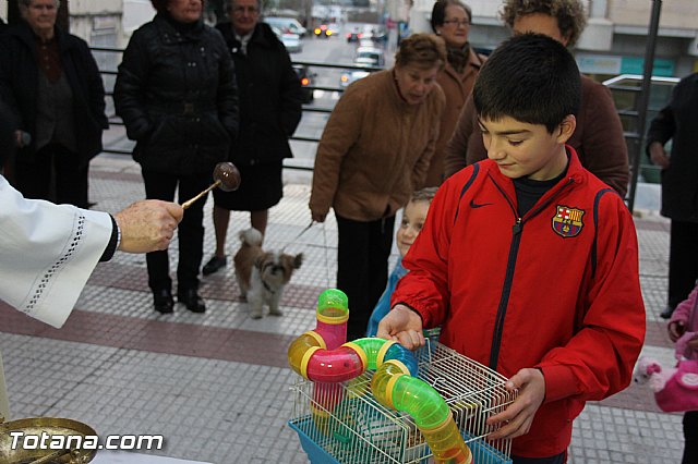 Los animales recibieron la bendicin en el da de su patrn, San Antn Abad - 2014 - 259