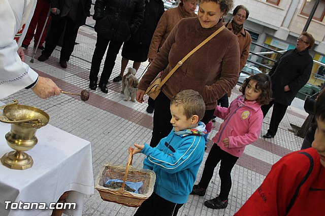 Los animales recibieron la bendicin en el da de su patrn, San Antn Abad - 2014 - 260