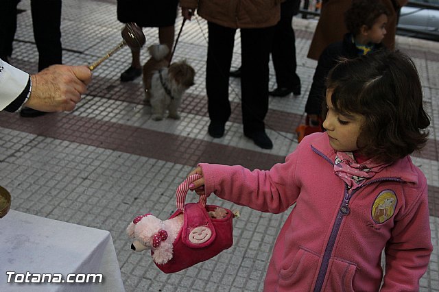 Los animales recibieron la bendicin en el da de su patrn, San Antn Abad - 2014 - 261