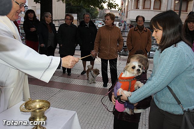 Los animales recibieron la bendicin en el da de su patrn, San Antn Abad - 2014 - 262