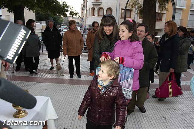 Los animales recibieron la bendicin en el da de su patrn, San Antn Abad - 2014 - 263