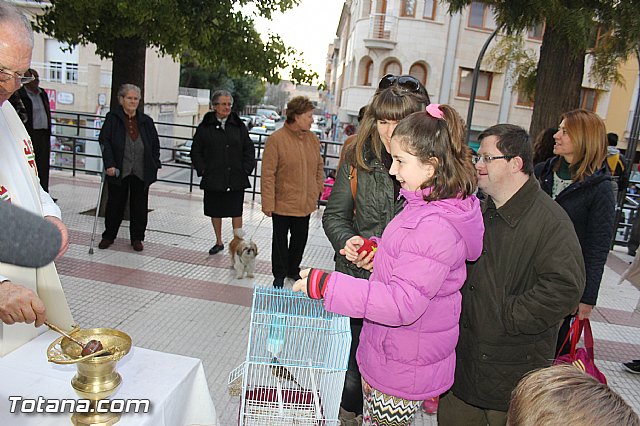 Los animales recibieron la bendicin en el da de su patrn, San Antn Abad - 2014 - 264