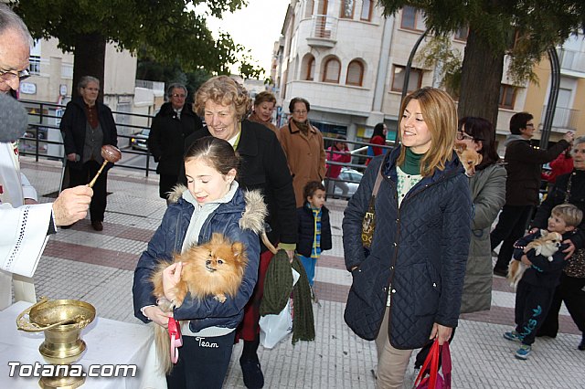 Los animales recibieron la bendicin en el da de su patrn, San Antn Abad - 2014 - 265