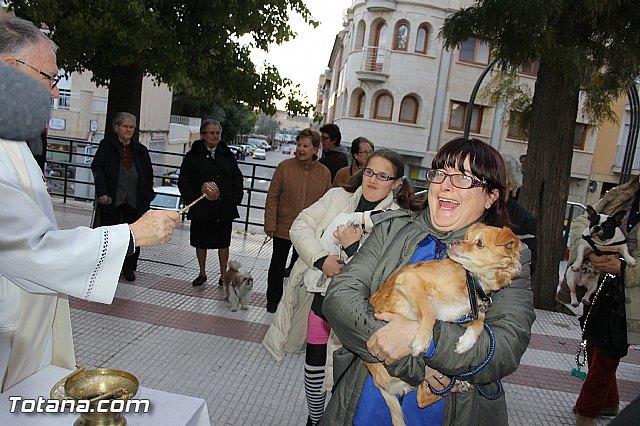 Los animales recibieron la bendicin en el da de su patrn, San Antn Abad - 2014 - 266