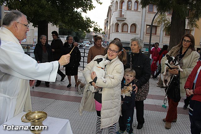 Los animales recibieron la bendicin en el da de su patrn, San Antn Abad - 2014 - 267