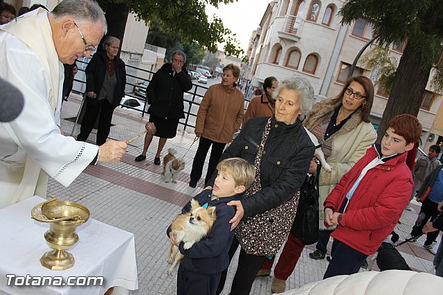 Los animales recibieron la bendicin en el da de su patrn, San Antn Abad - 2014 - 268
