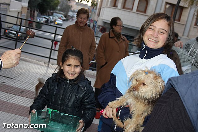 Los animales recibieron la bendicin en el da de su patrn, San Antn Abad - 2014 - 272