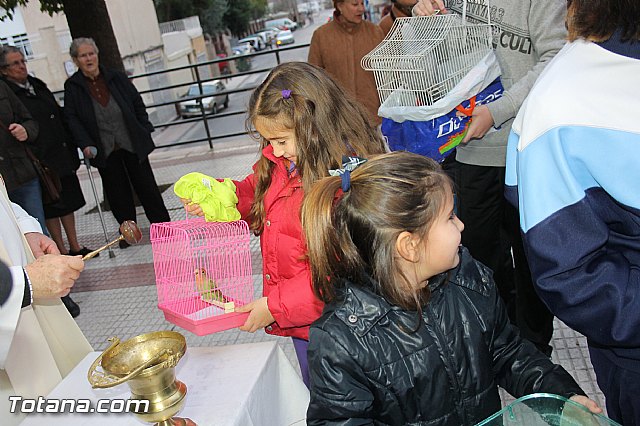 Los animales recibieron la bendicin en el da de su patrn, San Antn Abad - 2014 - 273