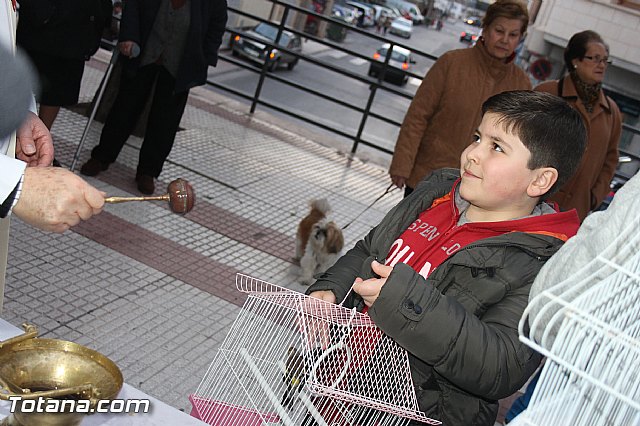 Los animales recibieron la bendicin en el da de su patrn, San Antn Abad - 2014 - 275