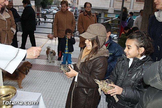 Los animales recibieron la bendicin en el da de su patrn, San Antn Abad - 2014 - 276