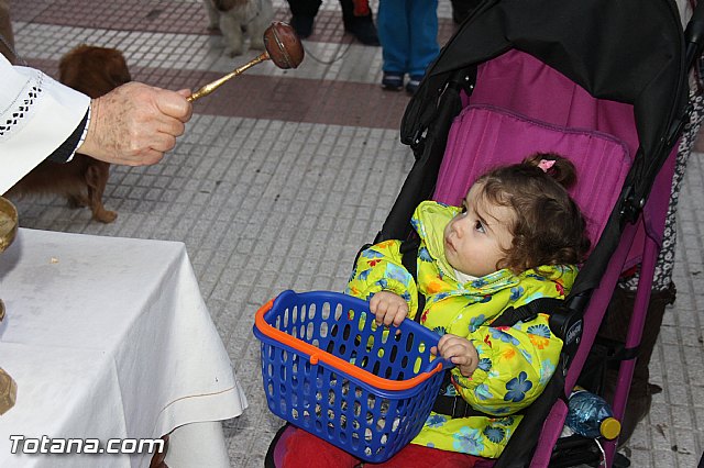Los animales recibieron la bendicin en el da de su patrn, San Antn Abad - 2014 - 279