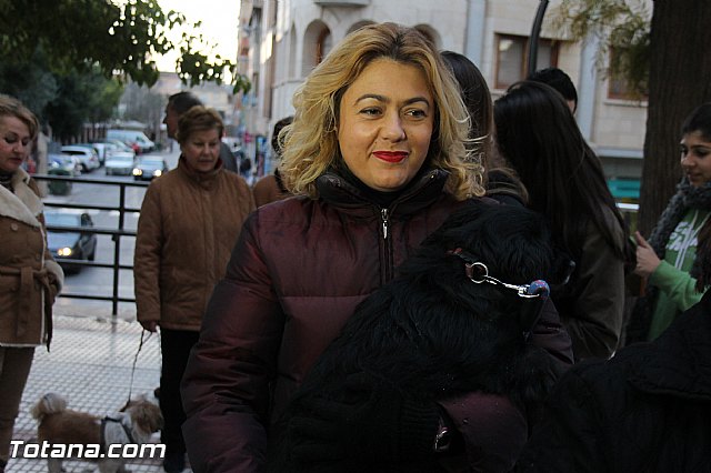 Los animales recibieron la bendicin en el da de su patrn, San Antn Abad - 2014 - 281