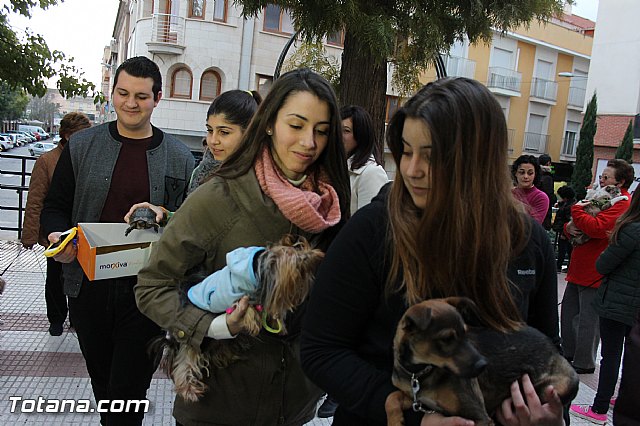 Los animales recibieron la bendicin en el da de su patrn, San Antn Abad - 2014 - 283