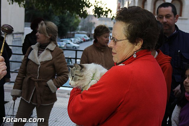 Los animales recibieron la bendicin en el da de su patrn, San Antn Abad - 2014 - 291