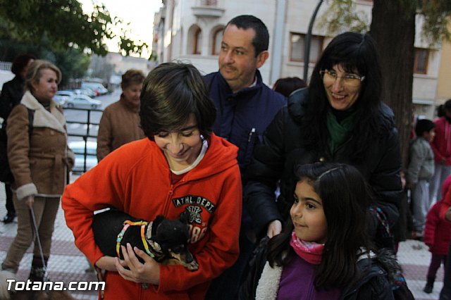 Los animales recibieron la bendicin en el da de su patrn, San Antn Abad - 2014 - 293